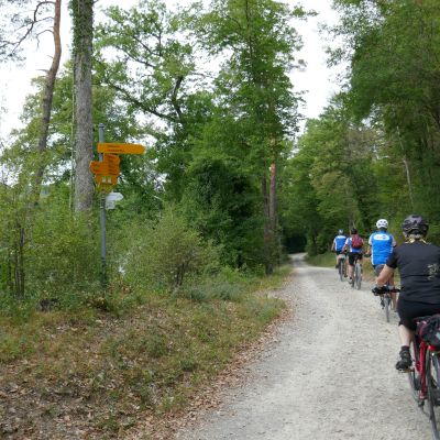 060 nächstes Ziel, Rheinau